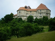 Замок Целье
