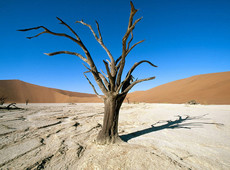 Пустыня Намиб