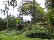 Ботанический сад Уилсонов