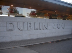 Дублинский зоопарк - гордость Ирландии