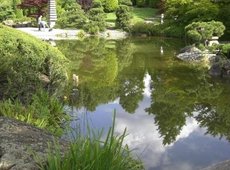 Японский сад в Ирландии