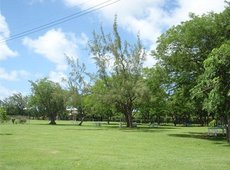Королевский парк Барбадоса
