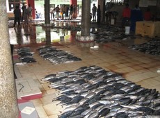 Рыбный рынок на Мальдивах