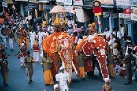 Фестиваль Duruthu Perahera