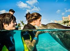 Atlantis Paradise Island Resort - The Reef Atlantis