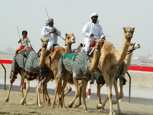 ОАЭ (Объединенные Арабские Эмираты)