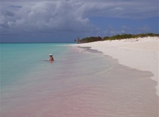 Розовый пляж острова Харбор