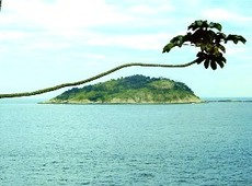 Тропические острова