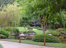 Ботанический сад Брисбена