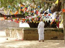 Фестиваль дерева Бодхи - Ундувап