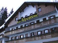 Hotel Alpenrose 3*