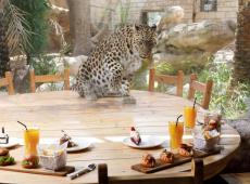Emirates Park Zoo & Resort 3*