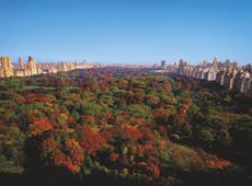 Ritz-Carlton Central Park 5*