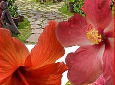 Hibiscus Garden Inn 3*