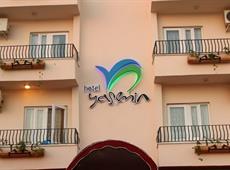 Yasemin Hotel 3*