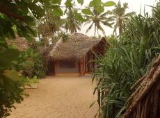 Jungle Beach Camp Ahungalla 4*