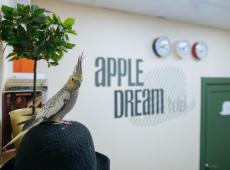 Apple Dream Hotel 2*