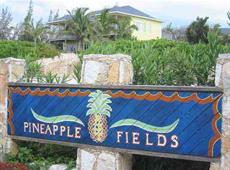 Pineapple Fields 3*