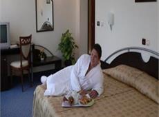 Zdravets Hotel Wellness & SPA 4*